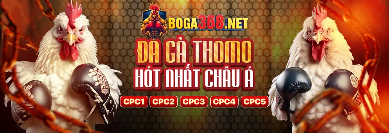 Người chơi đang trải nghiệm CWIN666 trên điện thoại
